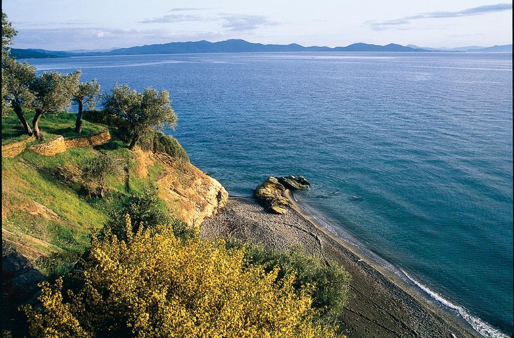 Katia Hotel Afissos Exterior photo